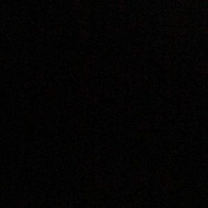 Meet your Posher, Willow